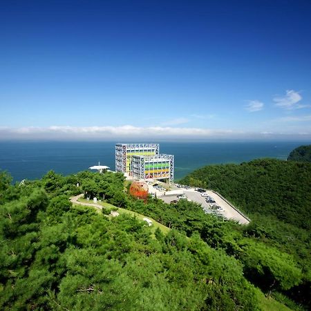 Haslla Art World Museum Hotel Gangneung Eksteriør billede